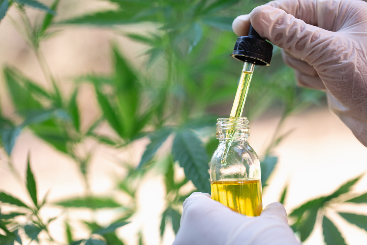 What are the legal issues related to CBD? post thumbnail image