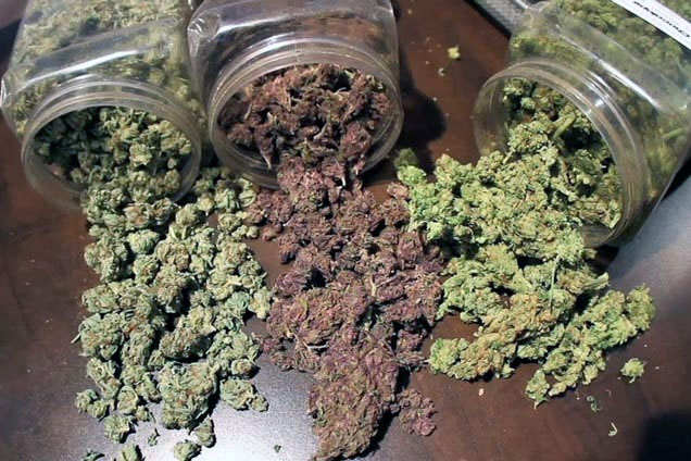 Get Cannabis At Online Canada Dispensary post thumbnail image