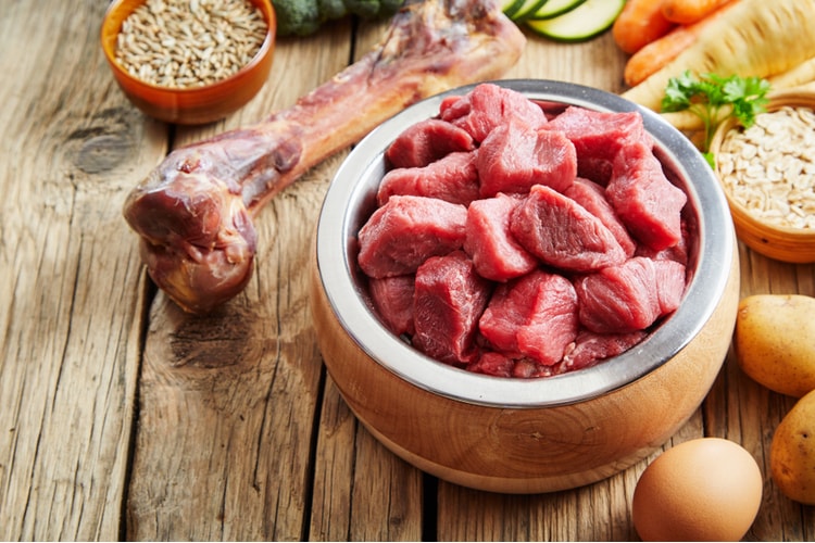 Give your pup an excellent wellbeing with unprocessed pet foods post thumbnail image