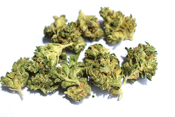 Acquire real, best-high quality products from the weed delivery Winnipeg post thumbnail image