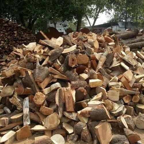Help from firewood suppliers upon an excellent choice of hardwood post thumbnail image