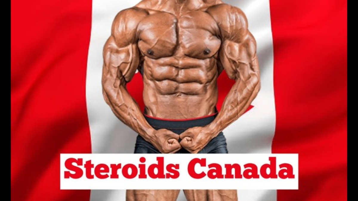 Buy Canadian Steroids For All-natural Development post thumbnail image