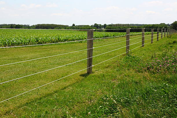 Maintaining Safety with Invisible Fences: A Comprehensive Study post thumbnail image